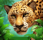  最新RG野兽疯捕鱼地址去哪找？老玩家亲测三个靠谱入口（最新RG野兽疯捕鱼地址）-第1张图片